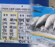 국산 둔갑 '일본산 수산물' 판매…횟집 등 적발