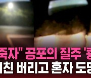 [스브스픽] "같이 죽자" 공포의 질주…여친 태우고 달리다 '쾅'