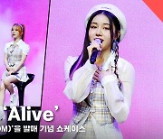 로켓펀치 '얼라이브' 쇼케이스 라이브 무대 (RocketPunch 'Alive' Stage)[영상]