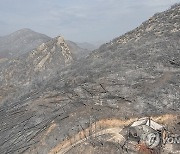 GREECE WILDFIRE