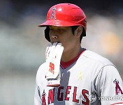 오타니 부상으로 빠진 사이…'45호포' 올슨, MLB 홈런 1위 탈환