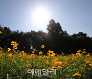 [포토]가을이 피었어요~