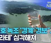 "용담호 녹조 '경계' 경보"..'녹조라테' 심각해져