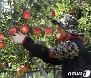 가을이 온다