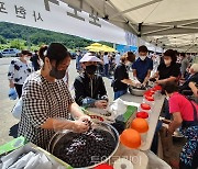 포도주 만들고 와인 족욕하며 보랏빛 재미에 빠져요!..보령 사현포도축제. 9일 팡파르