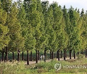 [내일 날씨] 전형적 초가을 날씨…밤낮 기온차 15도 이상 주의