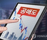 금감원 “공매도 재개? 불법 행위부터 근절해야”