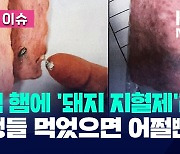 학교 급식 햄에 돼지 지혈제가?…학생들 먹었으면 어쩔 뻔 [오늘 이슈]