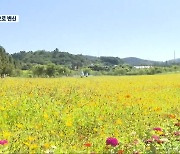 [여기는 전남] 내일 ‘백로’…순천만국가정원, 가을정원으로 변신