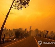 열 받은 지구…세계 곳곳 '가장 더운 여름'