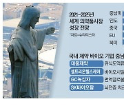 K제약 '파머징마켓' 중남미서 금맥 캔다