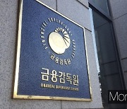 카드사 제외한 여전사 상반기 순익 22%↓… "대손비용 증가 영향"