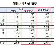 카드사 제외 여전사, 상반기 순이익 21.9%↓…연체율은 올라