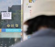 대출비교플랫폼에 진출하는 상호금융…‘오피스텔대출’ 경쟁 터지나[머니뭐니]