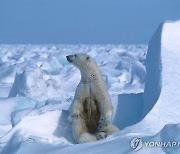 바이든, 트럼프가 허가한 알래스카 보호구역 유전 개발 취소