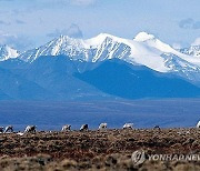 Alaska-Arctic Refuge