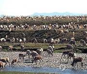 Alaska-Arctic Refuge