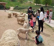 전남도, 9월 관광지 지리산치즈랜드·메타프로방스 추천