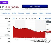 베트남 빈패스트 오늘은 26% 폭락, 주가 20달러 아래로(상보)