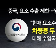 2년 전 요소수가 불러온 '멈춤'...이번에도 대란 있을까? [앵커리포트]