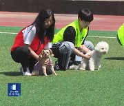 전국 첫 반려동물 단과대학 개설…반려동물 위한 축제 열려