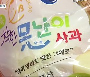 “못생겨도 맛 좋아요”…못난이 사과 품질 차이 없어