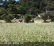 ‘메밀꽃 필 무렵’ 속으로…‘효석문화제’ 4년 만에 재개