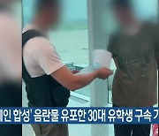 ‘연예인 합성’ 음란물 유포한 30대 유학생 구속 기소