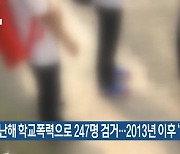 지난해 학교폭력으로 247명 검거…2013년 이후 ‘최다’