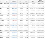 가상화폐 비트코인(-0.98%), 히포크랏(+9.8%)