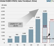 테슬라, 非중국 전기차 판매 1위…현대차그룹은?