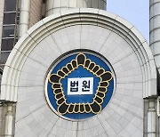 "동물사체 피하려다" 중앙선 침범 사망사고 '벌금형'