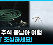 이번 추석 동남아 여행.. '모기' 조심하세요! [뽀얀거탑]