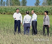 CHINA-HEILONGJIANG-SHANGZHI-XI JINPING-VISIT (CN)