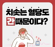 [건강당당] 치솟는 혈당도 간 때문이다?