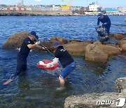 바다 쓰레기 어디 숨었나