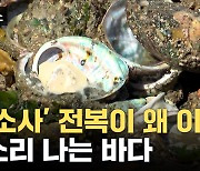 [자막뉴스] 믿기 힘든 전복 상태..."여기서 끝나지 않는다는 게 더 큰 문제"