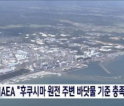 IAEA "후쿠시마 원전 주변 바닷물 기준 충족"