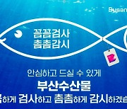 오염수 방류 후 부산서 日활어 '원산지 미표시' 적발