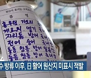 원전 오염수 방류 이후, 日 활어 원산지 미표시 적발