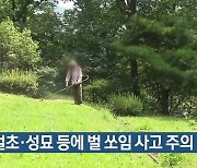 벌초·성묘 등에 벌 쏘임 사고 주의