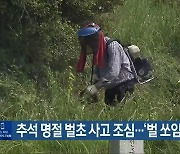 추석 명절 벌초 사고 조심…‘벌 쏘임 많아’