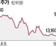 中 요소 수출 금지說에…조비·KG케미칼 급등