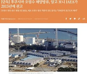 IAEA 기록 뒤지고 삭제된 기사 찾아 '오염수 국제기준' 허상 짚다