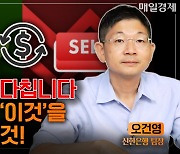 테마주로 손실만 늘었다면, ‘이 전략’을 전문가가 추천하는 이유 [자이앤트TV]