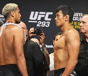 '한국에서 가장 강한 남자' 정다운, UFC 293서 부활 다짐..."원정이어도 이긴다"