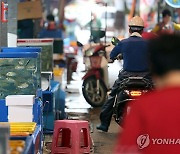 마산어시장에 '토요시장' 열린다…다양한 먹거리·문화공연도