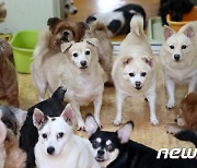 검역본부, '동물용의약품 통합정보시스템' 디자인·명칭 공모전