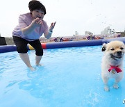 '반려동물 사지말고 입양하세요'