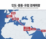 G20 미국판 '일대일로' 추진...中, 북러 밀착에도 선긋기